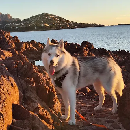 T2 Vue Mer, Jardin Clos, Village Cap Esterel St Raphael Апартаменты *